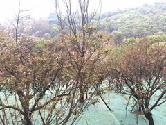 -石峰公园