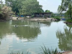 -西山漾湿地公园