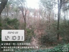 -青龙山国家森林公园