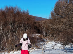 -多乐美地滑雪场