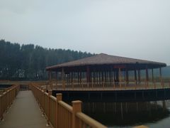 -白洋淀景区