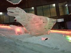 -世界之窗阿尔卑斯冰雪世界