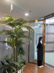 -八佰伴8008星级形象店