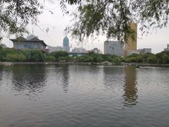 -文瀛公园