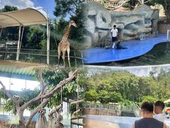 -泉州海丝野生动物世界