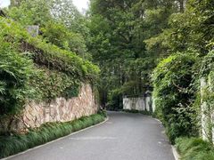 -杭州西湖柳莺里酒店·闻莺厅