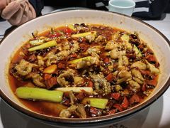 -雲蜀龙阁·金牌水煮鱼(方庄店)