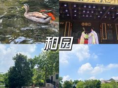 -顺德欢乐海岸PLUS