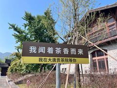 -大唐贡茶院