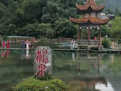 -靖西鹅泉风景区