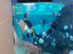 -鸿通城购物中心