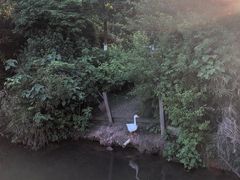 -张坝桂圆林公园