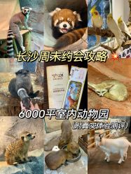 -Zoolung Zoolung动物主题公园(海信广场店)