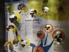 -正佳自然科学博物馆