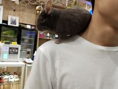 -藦茜花园宠物主题亲子互动体验馆(国顺东路店)