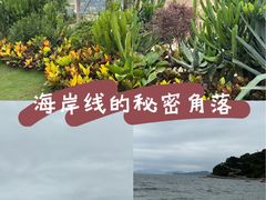 -大梅沙海滨公园