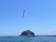 -棒棰岛宾馆景区