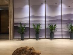 -艺境水疗生活空间(广场明珠店)