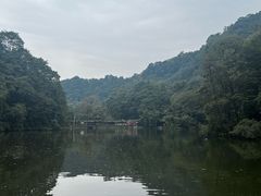 -青城山