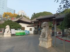 -团结湖公园