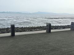 -深圳湾公园(南山区)