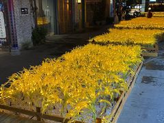 -生态苑农庄(十里画廊遇龙河店)