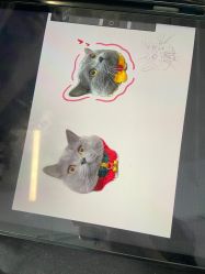 -飛凡TATTOO纹身•原创