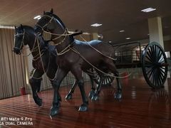 -晋国博物馆
