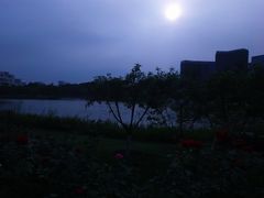 -西海子公园