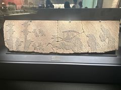 -四川大学博物馆