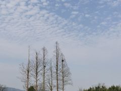 -良渚古城遗址公园