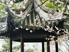 -豫园