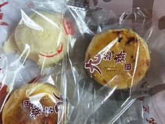 -九芝斋(解放路店)