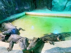 -西安秦岭野生动物园