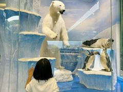 -国家自然博物馆