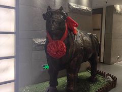 -秦宝雪花牛肉养生火锅(大兴九臻店)