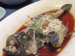 -金狮麟·新豫菜(金码大厦店)