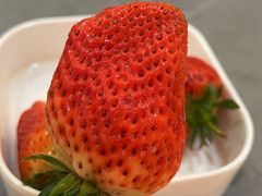 -汤里来温泉