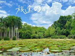 -中国科学院西双版纳热带植物园