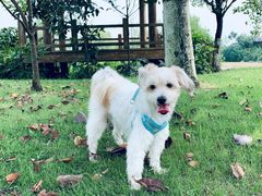 -国际非物质文化遗产博览园