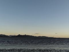 -深圳湾公园(南山区)