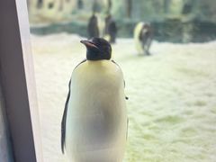 -珠海长隆海洋王国