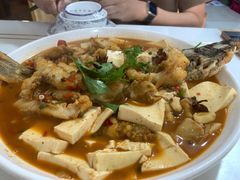 -煲来饱去冷水鱼