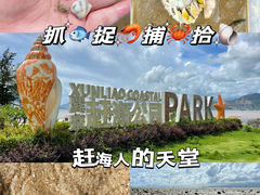 -巽寮湾
