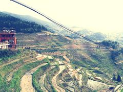 -紫鹊界梯田景区