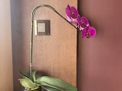 -深圳湾木棉花酒店