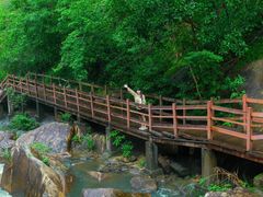 -广州白江湖森林公园