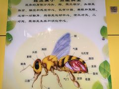 -上海昆虫博物馆