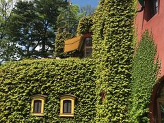 -三鹰之森吉卜力美术馆