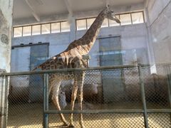 -石家庄市动物园